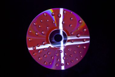 ıslak cd damla