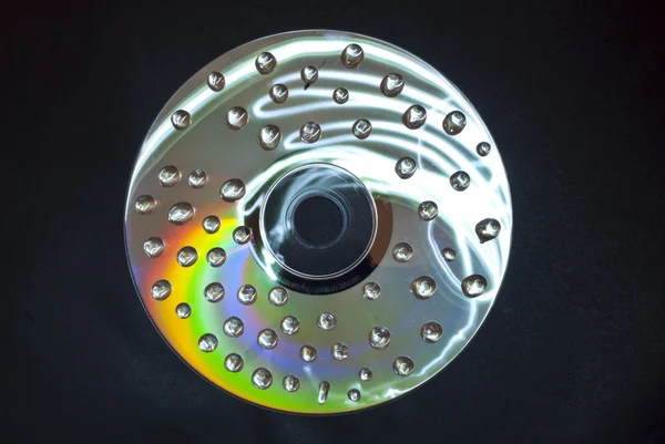 ıslak cd damla