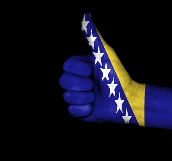 Flag of Bosnia and Hercegovina on hand — Stock Photo, Image