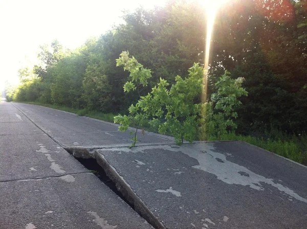 m-13 chisinau için rota. kötü yol durumu