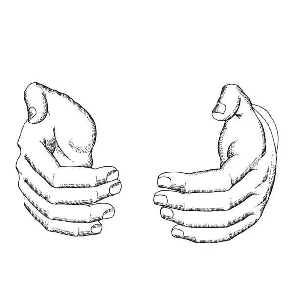 Ruce držící — Stockový vektor