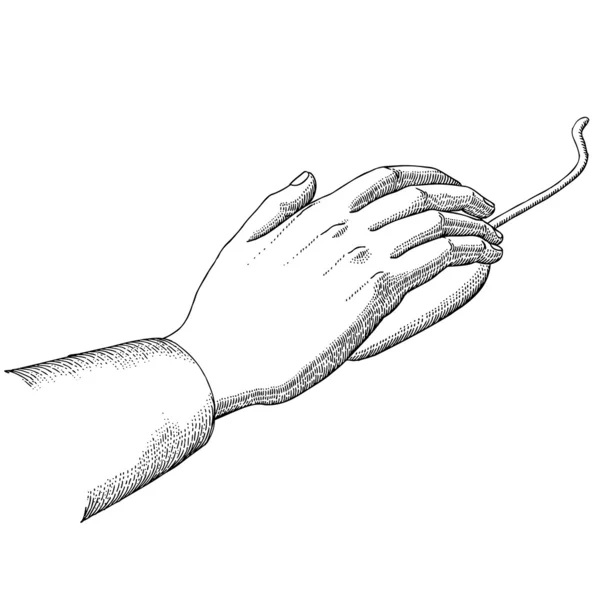 Hand hält eine Computermaus — Stockvektor