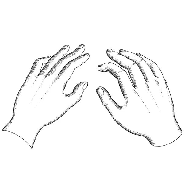 Due mani — Vettoriale Stock