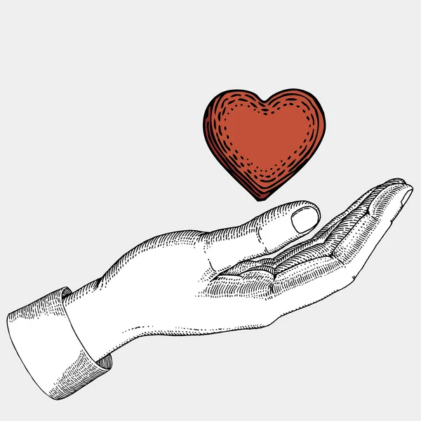 Srdce v ruce — Stockový vektor