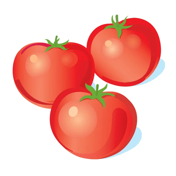 Three vector tomatoes — Stock Vector