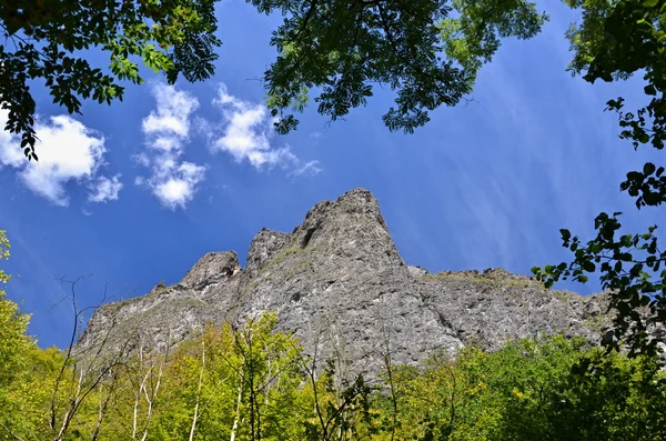 Şeytan'ın Rock