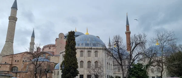 Istanbul, Turecko - březen 11 2021: Náměstí Sultanahmet s výhledem na Hagia Sophia — Stock fotografie