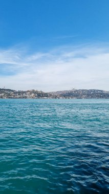 Ufuk çizgisinde İstanbul Panoraması ve denizin üzerinde martılar. Altın Boynuz 'un geniş manzarası