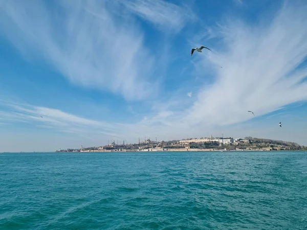 Панорама Стамбула на горизонте с паромной доски и чайки в голубом небе — стоковое фото