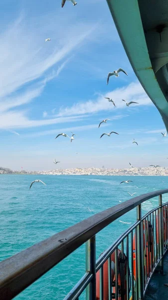 Panorama de Estambul en el horizonte desde el embarcadero y gaviotas en el cielo azul — Foto de Stock