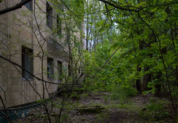 Domy Mieście Czarnobyl Ukrainie 2019 — Zdjęcie stockowe