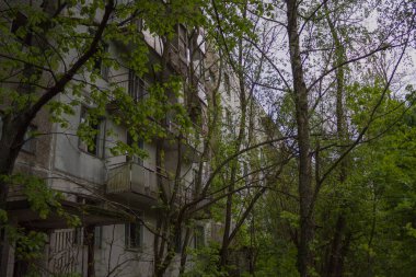 2019 Ukrayna 'da Çernobil kasabasındaki evler