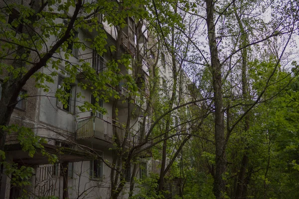 2019 Ukrayna 'da Çernobil kasabasındaki evler