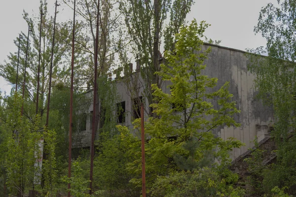 Chernobyl Ukraine May 2019 Abandoned Restaurant Deserted City Pripyat Chernobyl — стокове фото