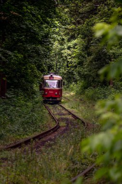 Tramvay hattı ormanın yoğun çalılıklarında çalışır. Perspektif mesafesinde eski kırmızı tramvay. Tramvay ormandaki bir tünelden geçiyor. Kiev, Ukrayna.
