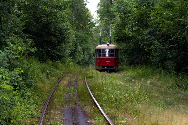 Tram Line Runs Dense Thickets Forest Old Red Tram Perspective — Stock Photo, Image