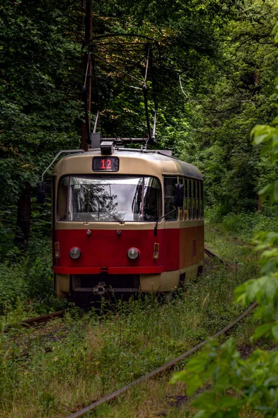 Tramvay hattı ormanın yoğun çalılıklarında çalışır. Perspektif mesafesinde eski kırmızı tramvay. Tramvay ormandaki bir tünelden geçiyor. Kiev, Ukrayna.