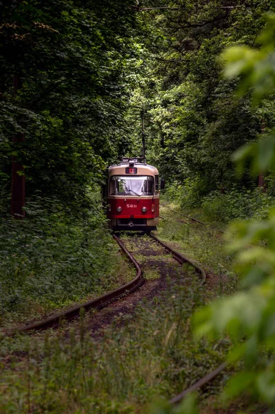 Tram Line Runs Dense Thickets Forest Old Red Tram Perspective lizenzfreie Stockbilder