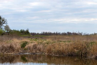 Ukrayna 'da bir köyde nehir. Rivne bölgesindeki Ikva Nehri, Ukrayna