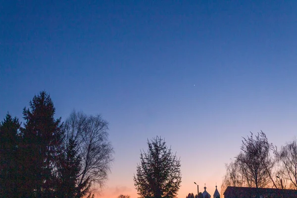 Äste Dramatischen Himmel Des Sonnenuntergangs Abstraktes Foto — Stockfoto