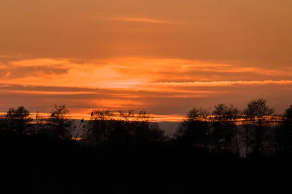 Äste Dramatischen Himmel Des Sonnenuntergangs Abstraktes Foto — Stockfoto