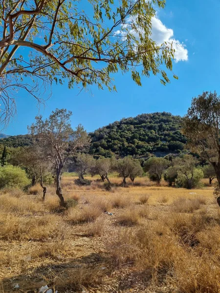 Peloponnese Greece South Europe Area Nature Hill Land Vivid Green — Stock Photo, Image