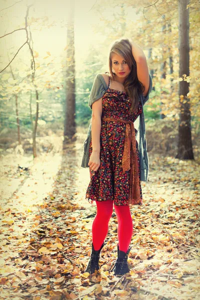 Mulher bonita em pé na floresta no outono. Folhas no chão e bela luz solar . — Fotografia de Stock