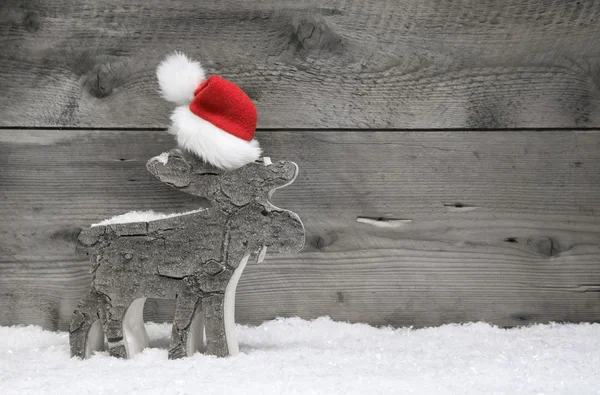 Moose indossa cappello di Babbo Natale — Foto Stock