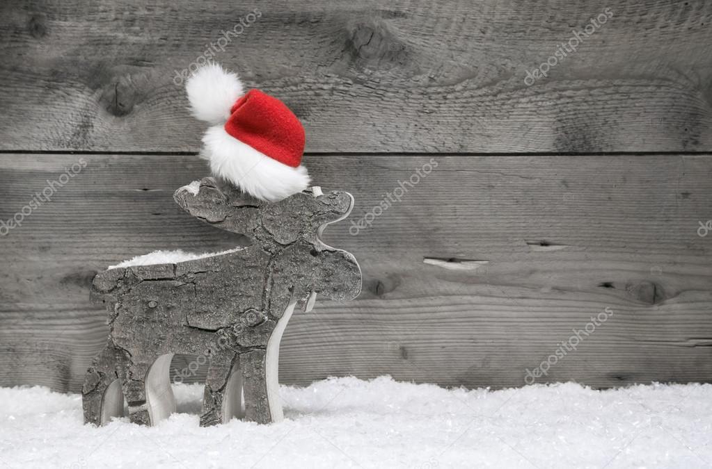 Moose wearing santa hat