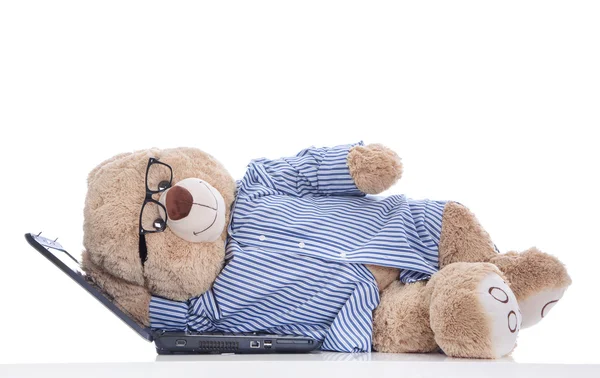 Teddybär macht ein Nickerchen auf Laptop — Stockfoto