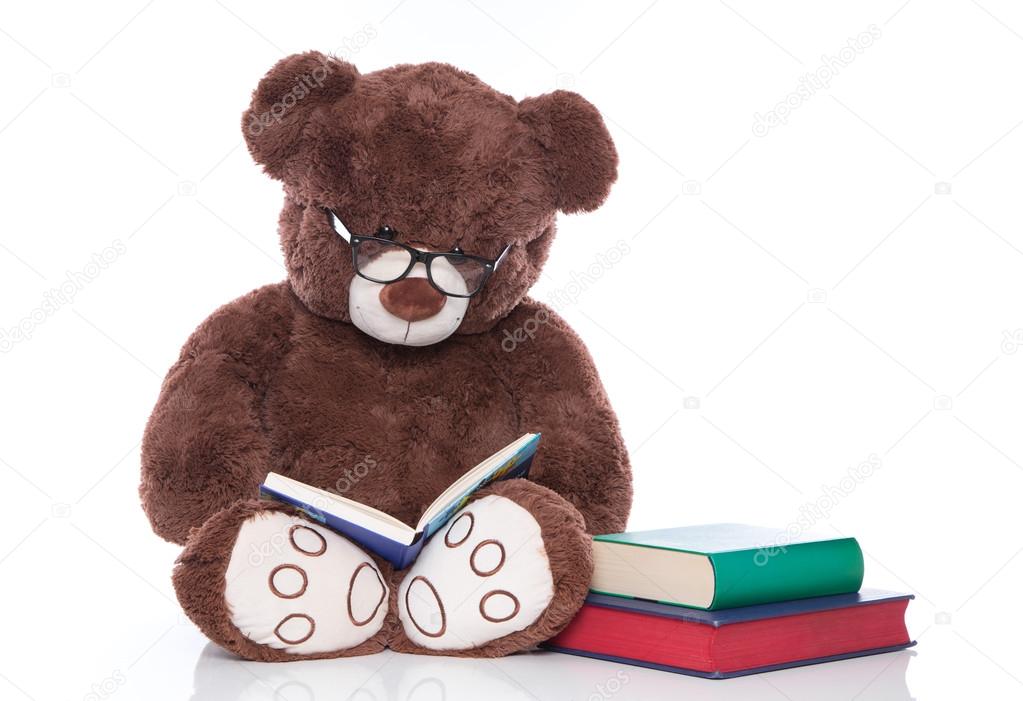 Teddy bear stories for christmas