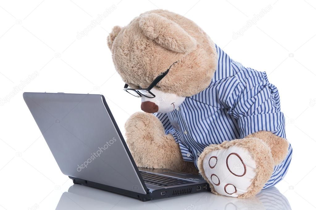 Teddy bear looking at lap top