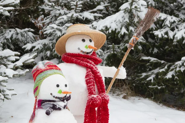 Par snögubbe i ett snöigt landskap Royaltyfria Stockbilder