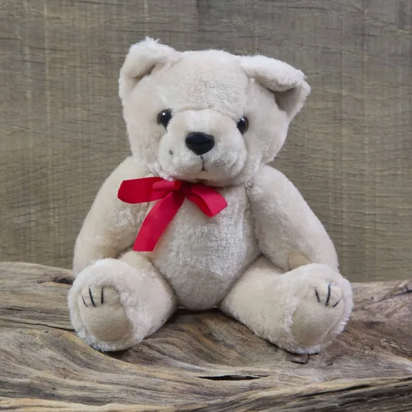 Alter schäbiger schicker Teddybär — Stockfoto