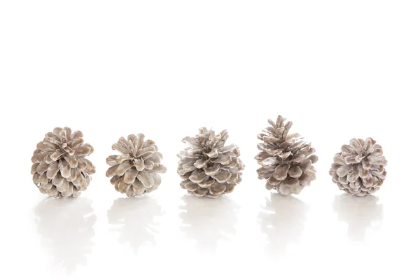 Cones de pinheiro para o Natal — Fotografia de Stock