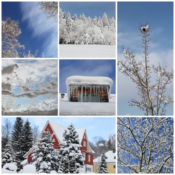 Winter collage met sneeuw, bos — Stockfoto