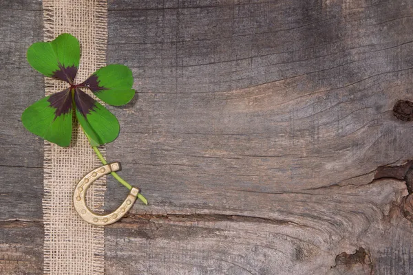 Clover and horseshoe — Stock Photo, Image