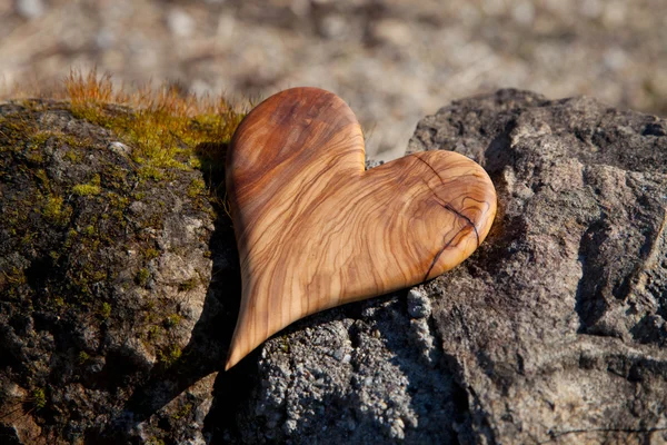 Houten hart in de natuur — Stockfoto