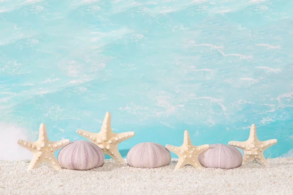 Conchas de playa junto al mar — Foto de Stock