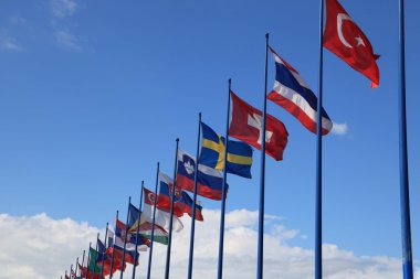 Uluslararası Bayraklar