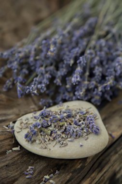 kurutulmuş lavanta