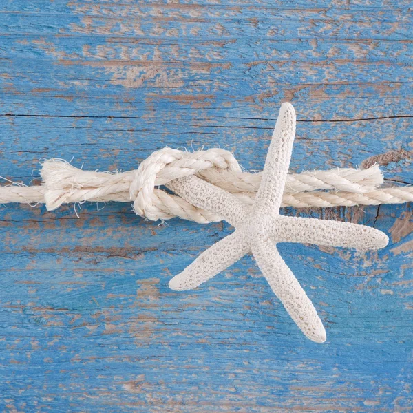 Touw gebonden aan starfish — Stockfoto