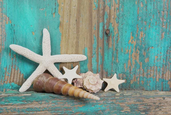 Starfish and seashells on shabby wooden background in turquoise — Stock Photo, Image