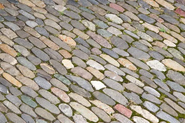 Cobblestone pavement background — Stock Photo, Image