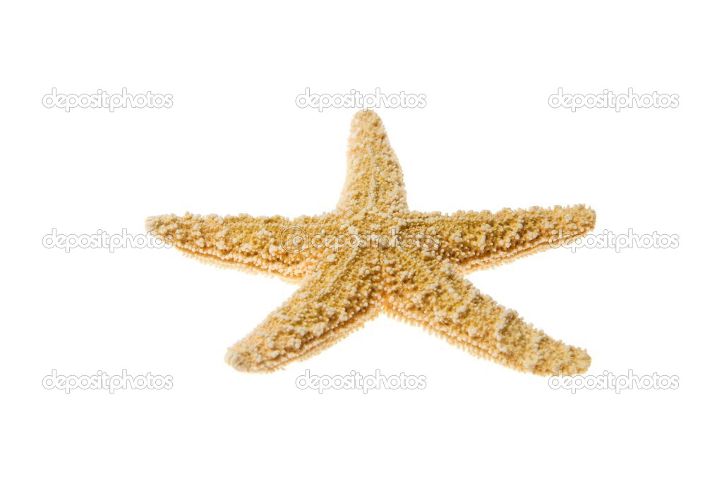 Starfish