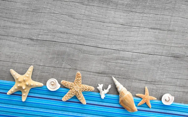 Seashells and starfishes — Stock Photo, Image