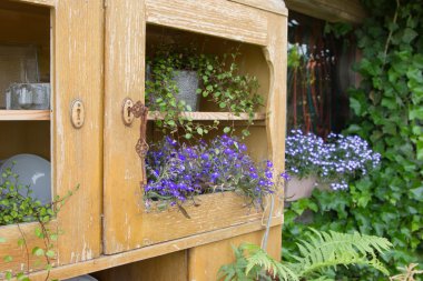 çiçek ile eski dolap