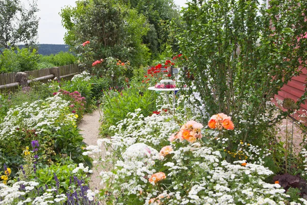 Flowers growing in the garden — Stock Photo, Image