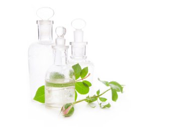 Gül özü ve gül goncası