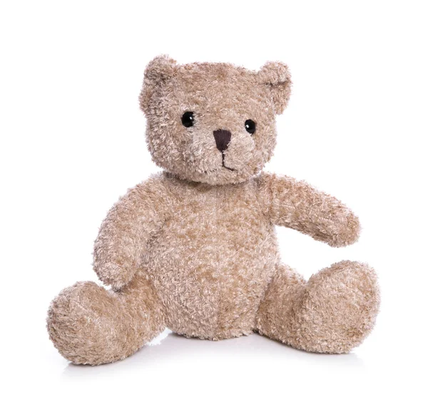 Bear bear family plush | Toy plush teddy bear isolated: mother with her